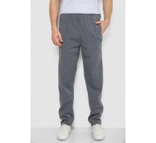 Спортивные брюки мужские на флисе, цвет серый, 244R4934