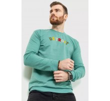 Свитшот мужской демисезонный, цвет оливковый, 208R0204.