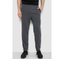 Спортивные брюки мужские, цвет серый, 238R122