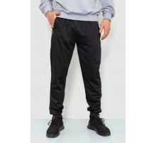 Спорт мужские брюки, цвет черный, 244R41381