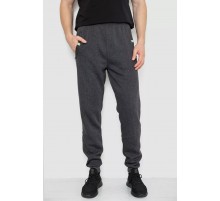 Спортивные брюки мужские на флисе, цвет темно-серый, 244R41299