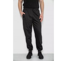 Спортивные брюки мужские, цвет черный, 244R4692.