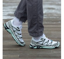 Демисезонные кроссовки Salomon XT-6 Adv цвет белый, черный, синий
