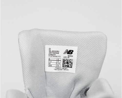 Чоловічі кросівки New Balance 2002r Light/Grey