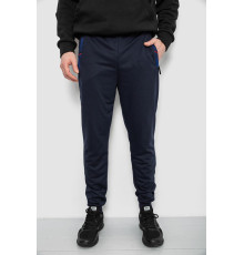 Спортивні штани чоловічі, колір синій, 244R429