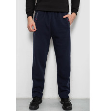 Спортивные штаны мужские на флисе, цвет синий, 244R41753