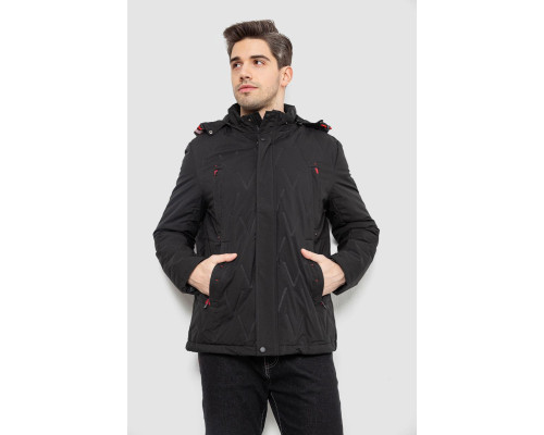 Куртка мужская демисезонная с капюшоном, цвет черный, 244RL9159AL