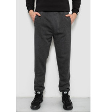 Спортивные штаны мужские на флисе, цвет серый, 244R41553