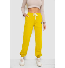 Спортивные штаны женские, цвет горчичный, 247R4670