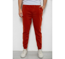 Спортивні штани чоловічі на флісі, колір теракотовий, 238R57256-1