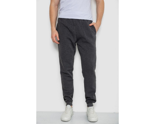 Спортивні штани чоловічі на флісі, колір темно-сірий, 244ROP09