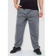 Спортивні штани чоловічі, колір сірий, 244R10018