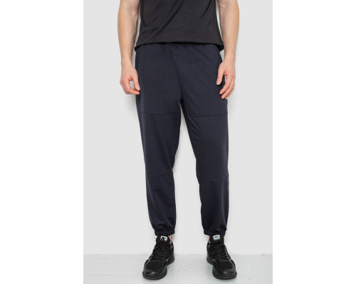 Спортивные мужские штаны демисезонные, цвет темно-синий, 241R001-1