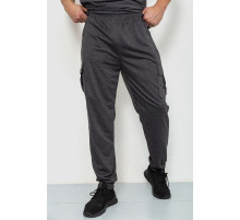 Спортивные штаны мужские, цвет темно-серый, 244R41266