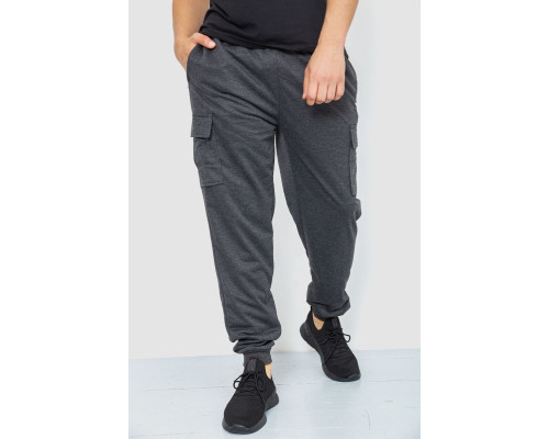 Спортивні штани чоловічі, колір темно-сірий, 244R41206