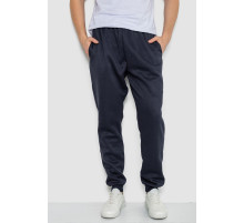 Спортивные штаны мужские на флисе, цвет темно-синий, 244ROP09