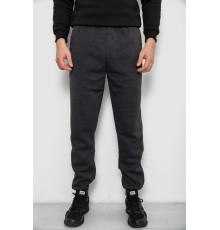 Спортивные штаны на флисе, цвет серый, 244R41526