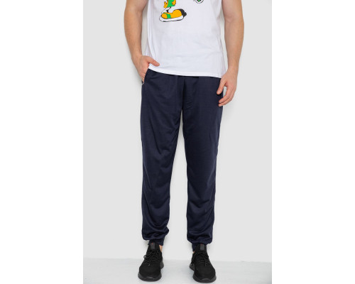 Спортивні штани чоловічі, колір темно-синій, 244R41236