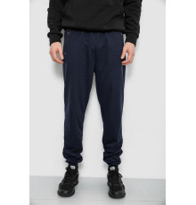 Спортивні штани чоловічі, колір синій, 244R434