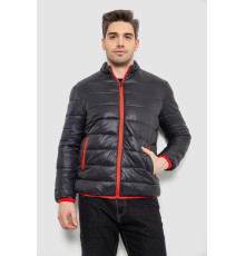 Куртка мужская демисезонная 244R616, цвет Черный