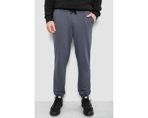 Спортивні штани чоловічі двонитка, колір сірий, 241R8003