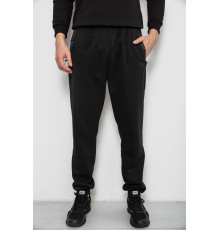 Спортивные штаны мужские на флисе, цвет черный, 244R41748