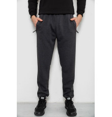 Спортивные штаны мужские на флисе, цвет серый, 244R41748