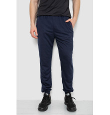 Спортивні штани чоловічі, колір темно-синій, 244R41669