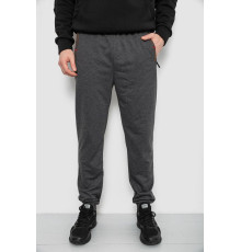 Спортивные штаны мужские, цвет серый, 244R429