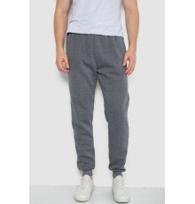 Спортивні штани чоловічі на флісі, колір сірий, 244ROP09