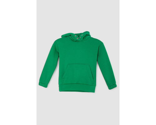 Спортивний костюм дитячий на флісі, колір зелений, 102R1520