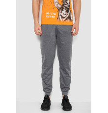 Спортивні штани чоловічі, колір сірий, 244R41236