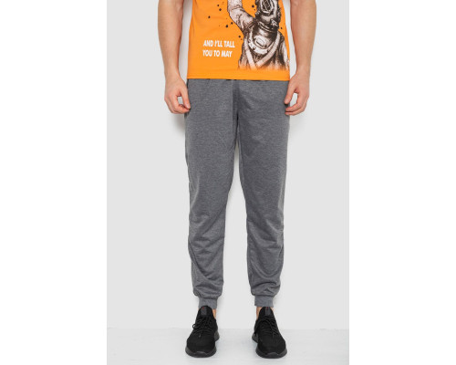 Спортивні штани чоловічі, колір сірий, 244R41236