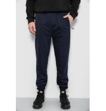 Спортивні штани чоловічі, колір синій, 244R435