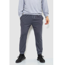 Спортивні штани чоловічі двонитка, колір сірий, 241R8005