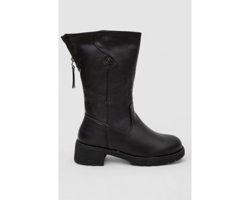 Чоботи жіночі зимові на хутрі, колір чорний, 243RY206