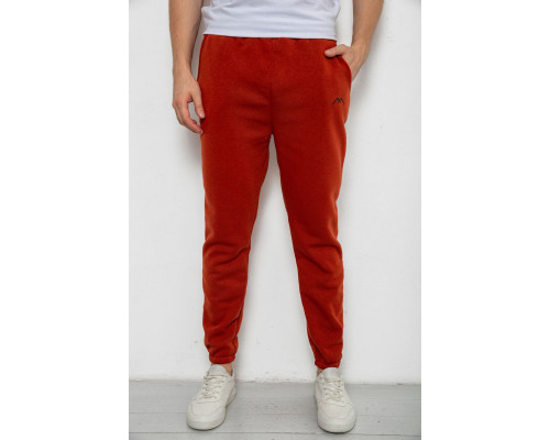 Спортивні штани чоловічі на флісі, колір теракотовий, 238R57256-1