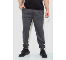 Спортивні штани чоловічі двонитка, колір темно-сірий, 244R41298