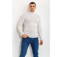 Светр чоловічий однотонний, колір білий, 161R1770