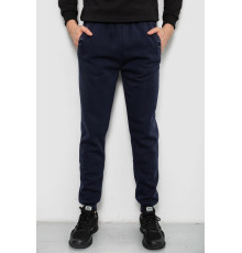 Спортивные штаны мужские на флисе, цвет синий, 244R41553