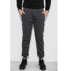 Спортивные штаны мужские на флисе, цвет серый, 244R6120