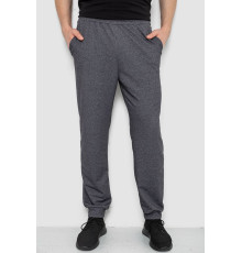 Спортивные штаны мужские, цвет темно-серый, 238R122-1