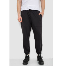 Спортивные мужские штаны демисезонные, цвет черный, 241R001-1