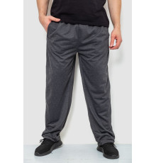 Спорт штаны мужские, цвет темно-серый, 244R10018 Спорт штаны мужские, цвет темно-серый, 244R10018