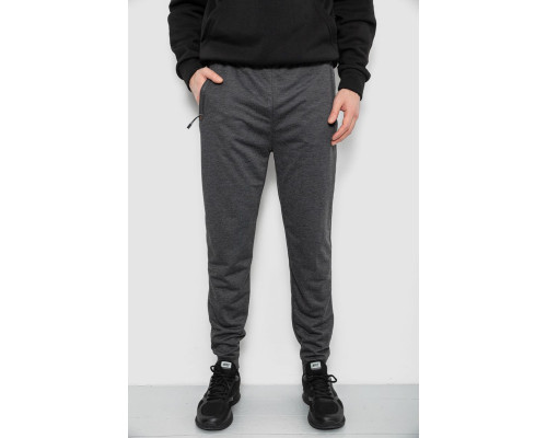 Спортивні штани чоловічі, колір сірий, 244R435