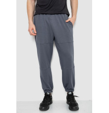 Спортивные мужские штаны демисезонные, цвет серый, 241R001-1