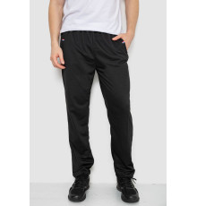 Спортивные штаны мужские, цвет черный, 244R41745