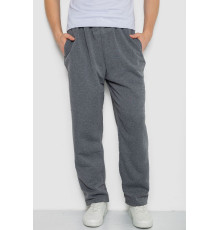 Спортивные штаны мужские, цвет серый, 244R3849