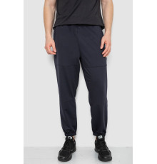 Спортивные мужские штаны демисезонные, цвет темно-синий, 241R001-1 Спортивные мужские штаны демисезонные, цвет темно-синий, 241R001-1