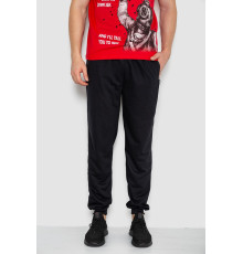 Спорт штаны мужские, цвет черный, 244R41236